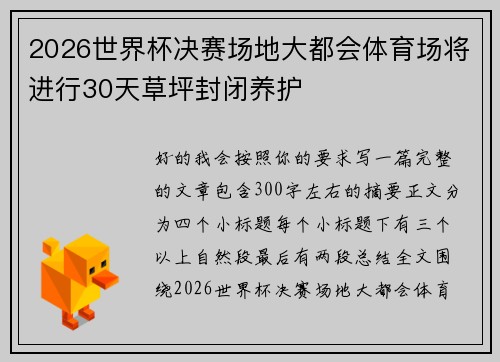 2026世界杯决赛场地大都会体育场将进行30天草坪封闭养护 2026世界杯决赛场地大都会体育场将进行30天草坪封闭养护